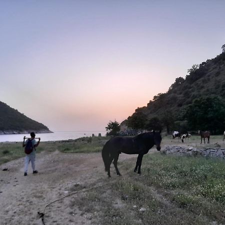 הימארה Lost Paradise Eco Camping מראה חיצוני תמונה